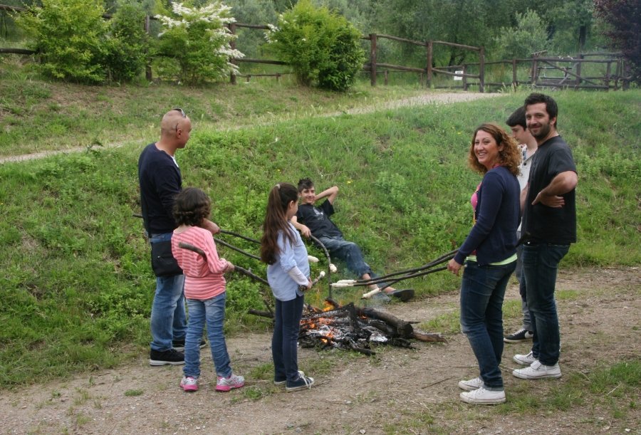 BBQ at the Horses