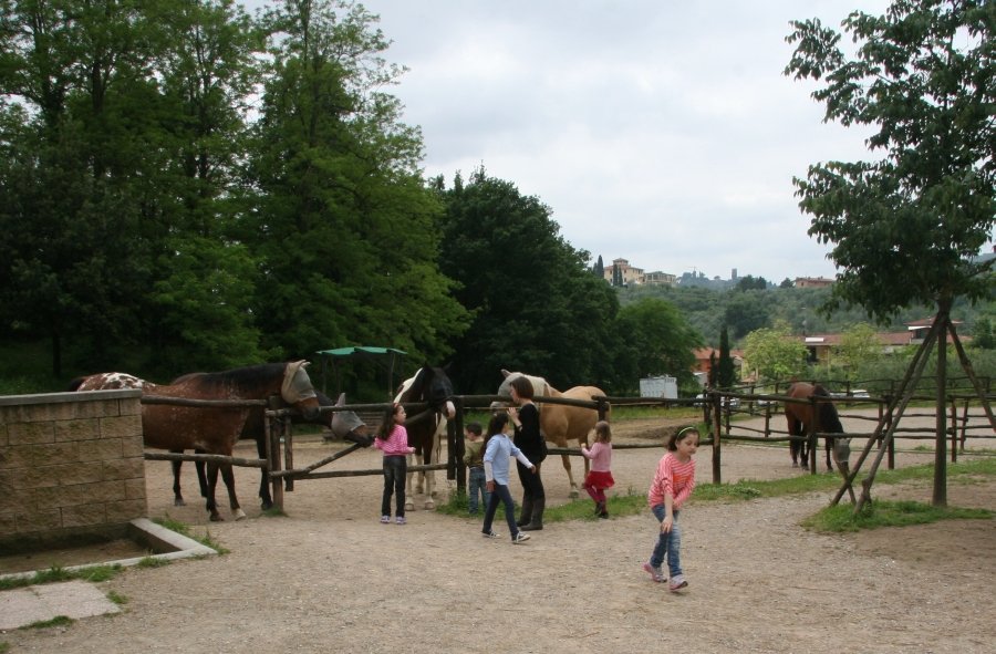 BBQ at the Horses