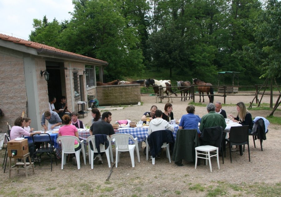 BBQ at the Horses