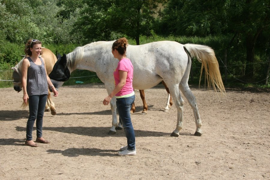 BBQ at the Horses