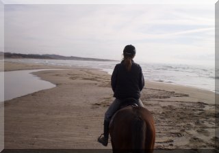 Autumn visit to the beach - with the horse of course